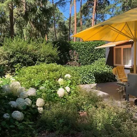 Boszicht De Luxe Met Bubbelbad En Stoomcabine Holiday home