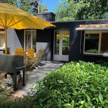 Boszicht De Luxe Met Bubbelbad En Stoomcabine Holiday home Lochem