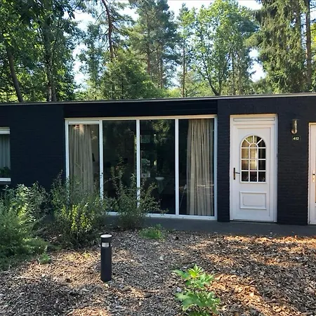 Holiday home Boszicht De Luxe Met Bubbelbad En Stoomcabine Lochem