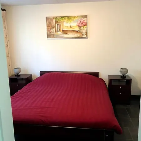 Boszicht De Luxe Met Bubbelbad En Stoomcabine *