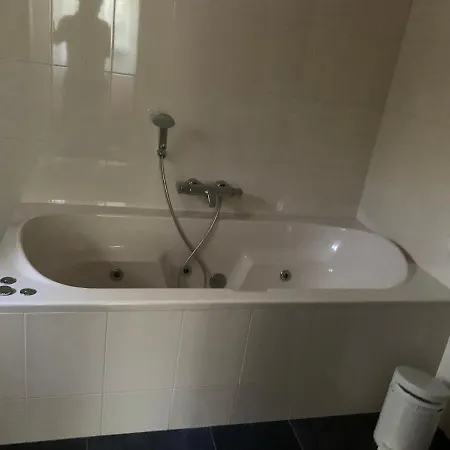 Boszicht De Luxe Met Bubbelbad En Stoomcabine Holiday home Lochem